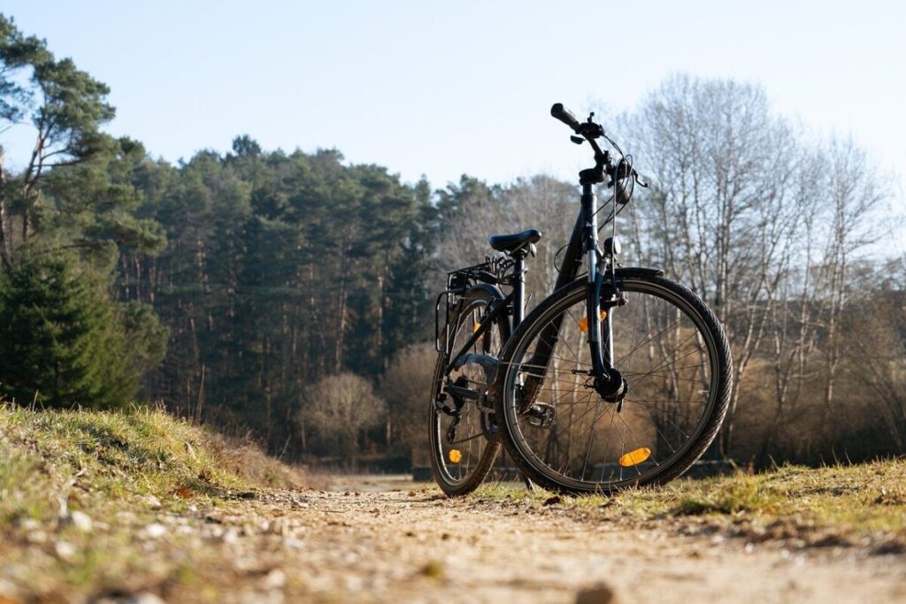 bicycle, path, trees